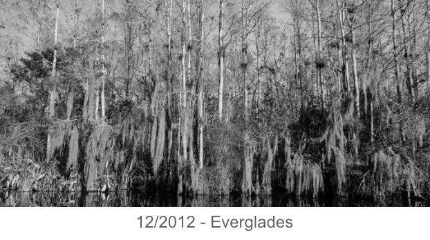 2012-everglades