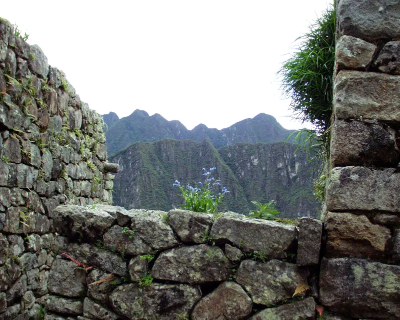 Machu Pichu