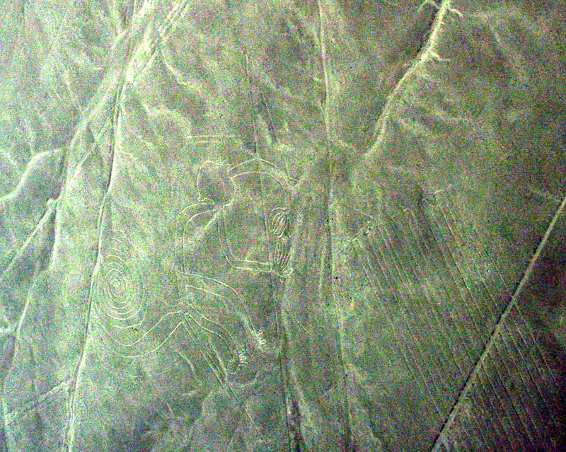 Nazca-Lines (Monkey)