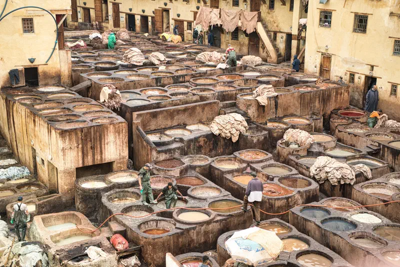Tannery - This is probably the most photographed area of Fez.