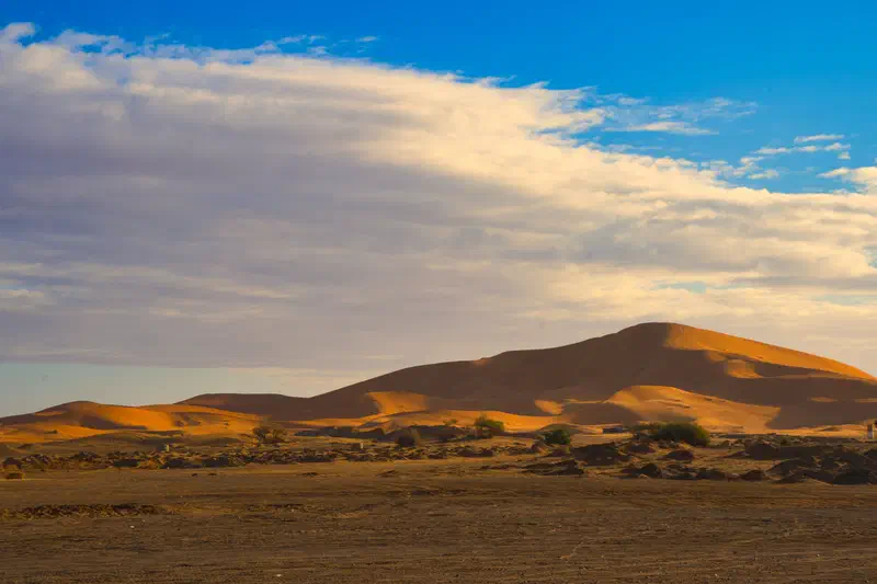 Gotta have a dune photo of the Sahara...