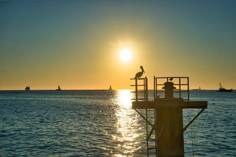 The sunset...