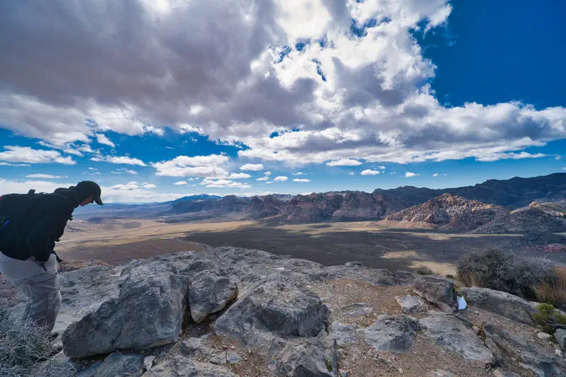 At the peak of the turtle head.
